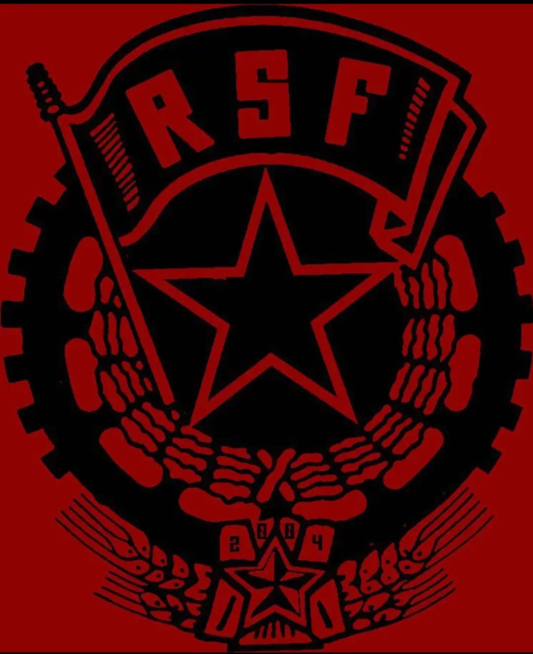 Mehr über den Artikel erfahren Roter Stern Fussek