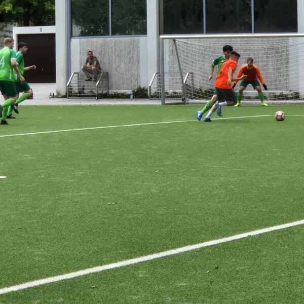 WhatsApp Bild 2025-10-03 um 18.48.51_7111156d